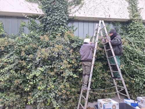 20251128_111826_resized