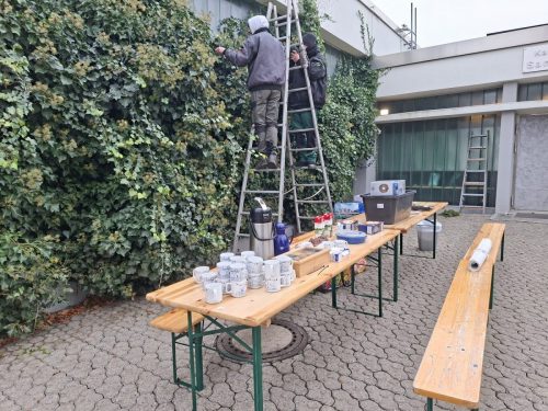 20251128_111836_resized