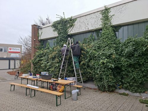 20251128_111851_resized