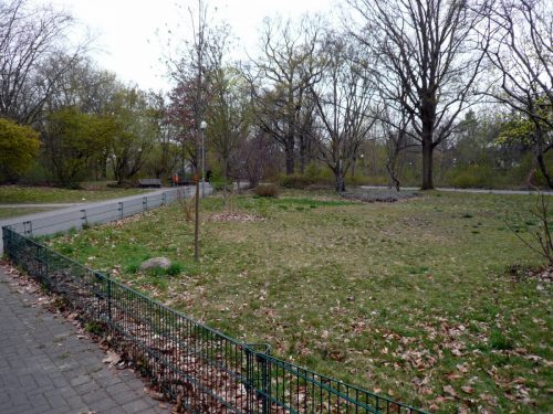 Ein Gemeinschaftsgarten entsteht-001