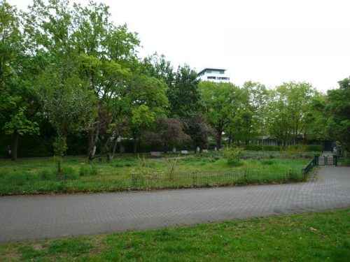 P1060007