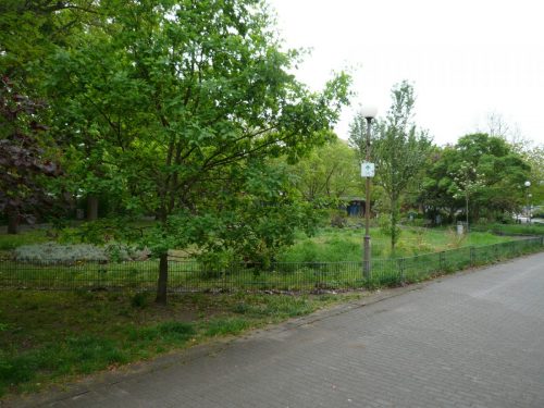 P1060008