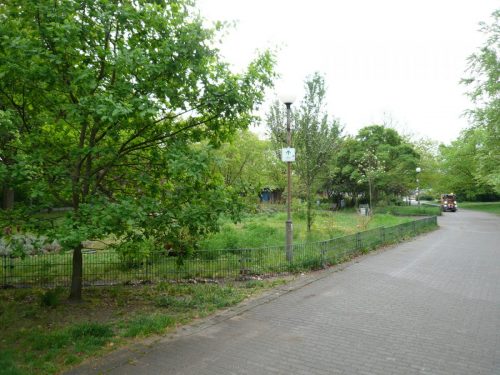 P1060009