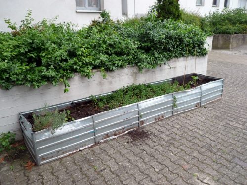 P1060067