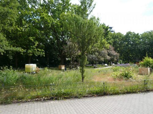 P1060725