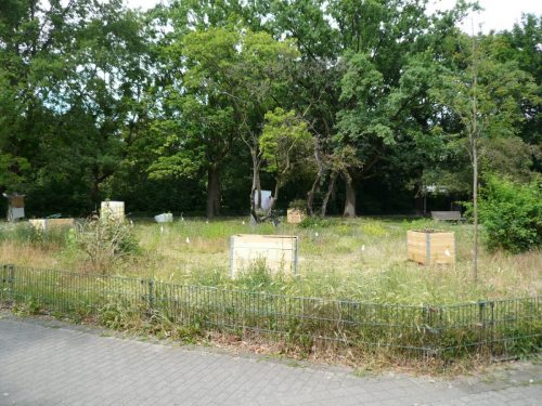 P1060794