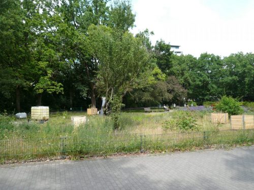 P1060795