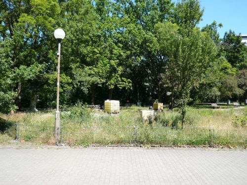 P1060904