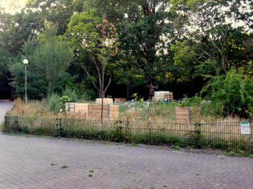P1070355