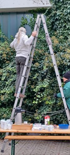 c5439ffd-7a4f-4fe0-8440-d4cae1676288